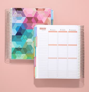 Erin Condren 2025 LifePlanner