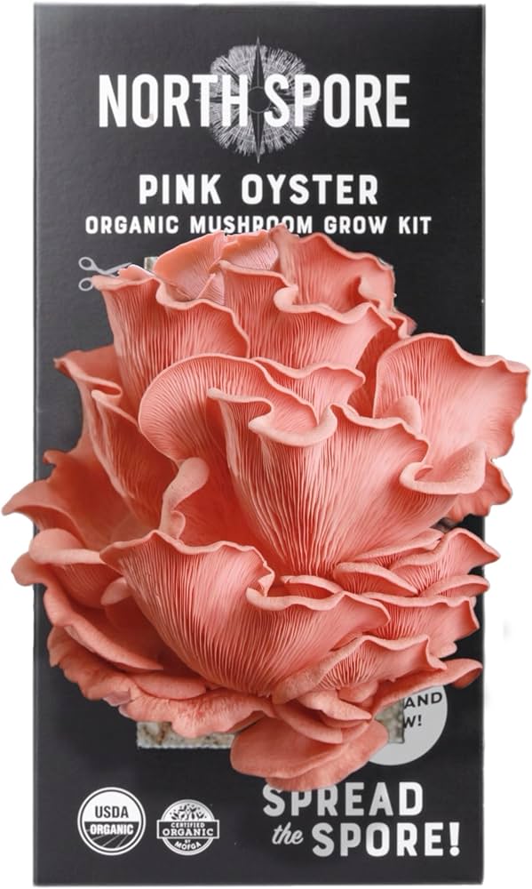 Exotic Mushroom Grow Kit - Pink Oyster
