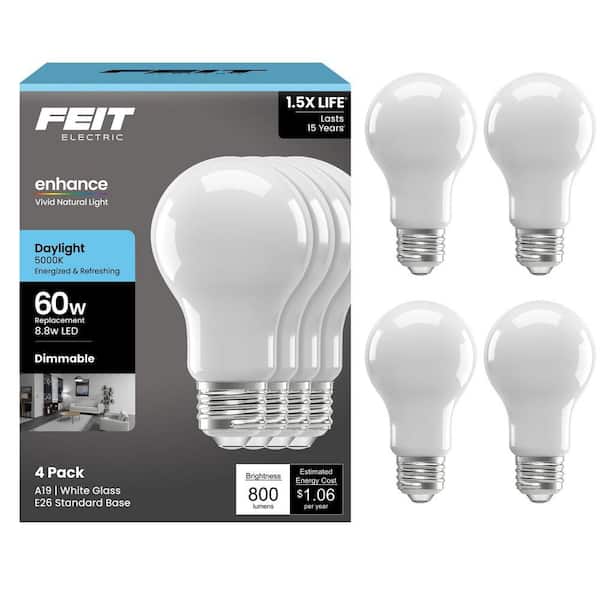 Feit Electric 60W Equivalent Soft White A19 LED Light Bulb (4-Pack)