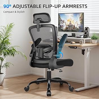 FelixKing 40-inch Foldable Computer Desk + NEO Chair Height Adjustable + Philips 242V8L 24-inch Monitor + Logitech Pebble M350 Mouse/Keyboard