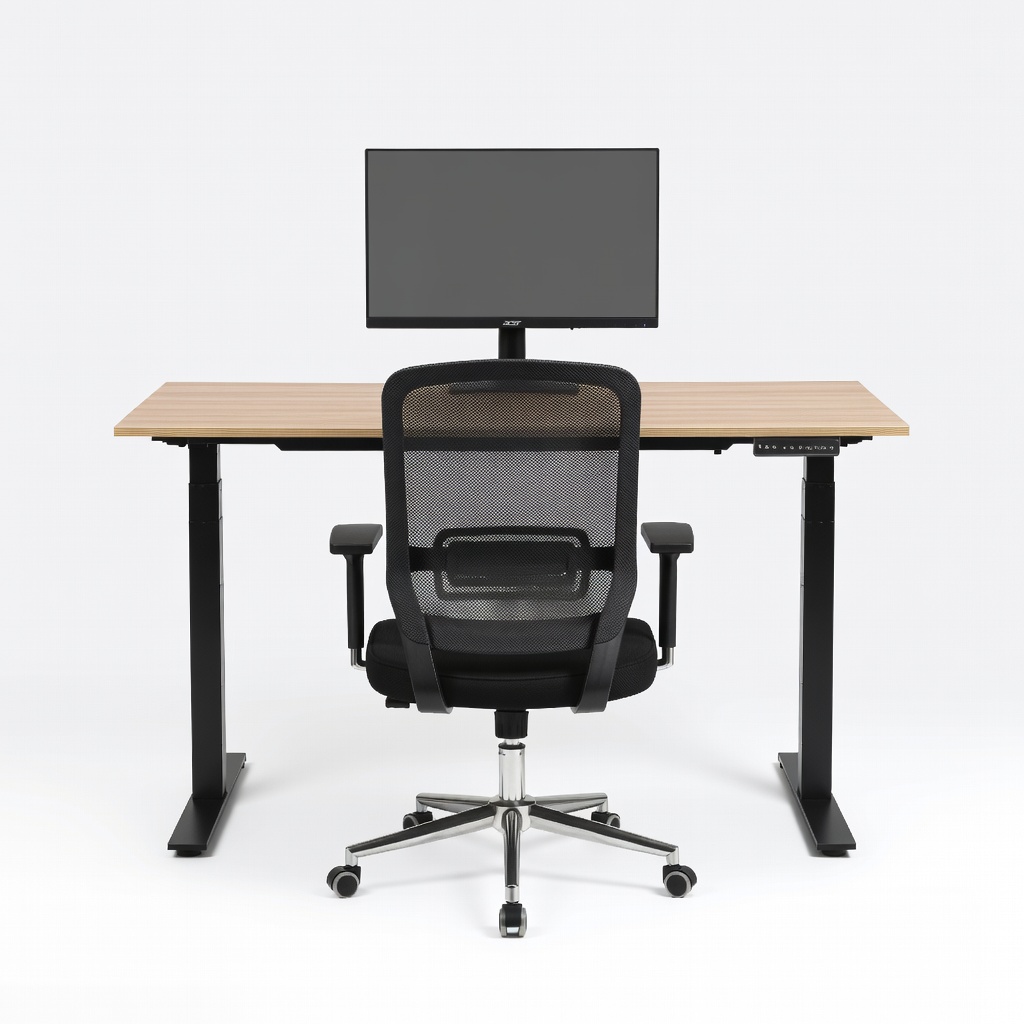 Fezibo Electric Standing Desk 48x24 Inch + Hbada Ergonomic Office Chair + Acer SB220Q 21.5-Inch Monitor Setup