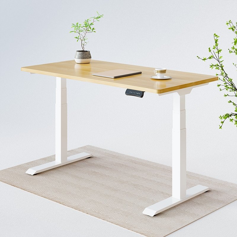 FlexiSpot E7 Electric Standing Desk 60x30