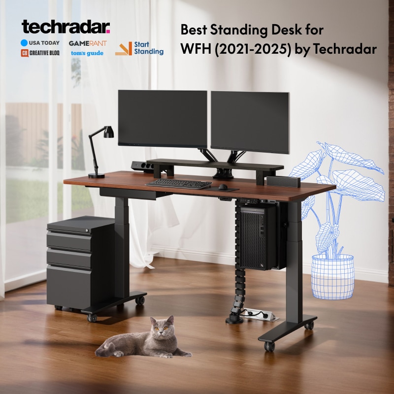 X STAND Music Keyboard Stand