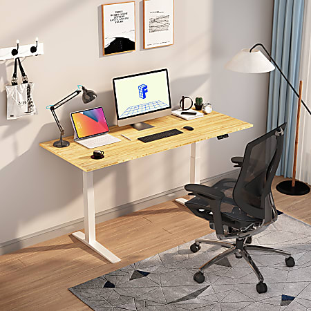 FlexiSpot E7 Pro Electric Standing Desk (48x30) + Sihoo M18 Ergonomic Office Chair + North Bayou F80 Monitor Arm