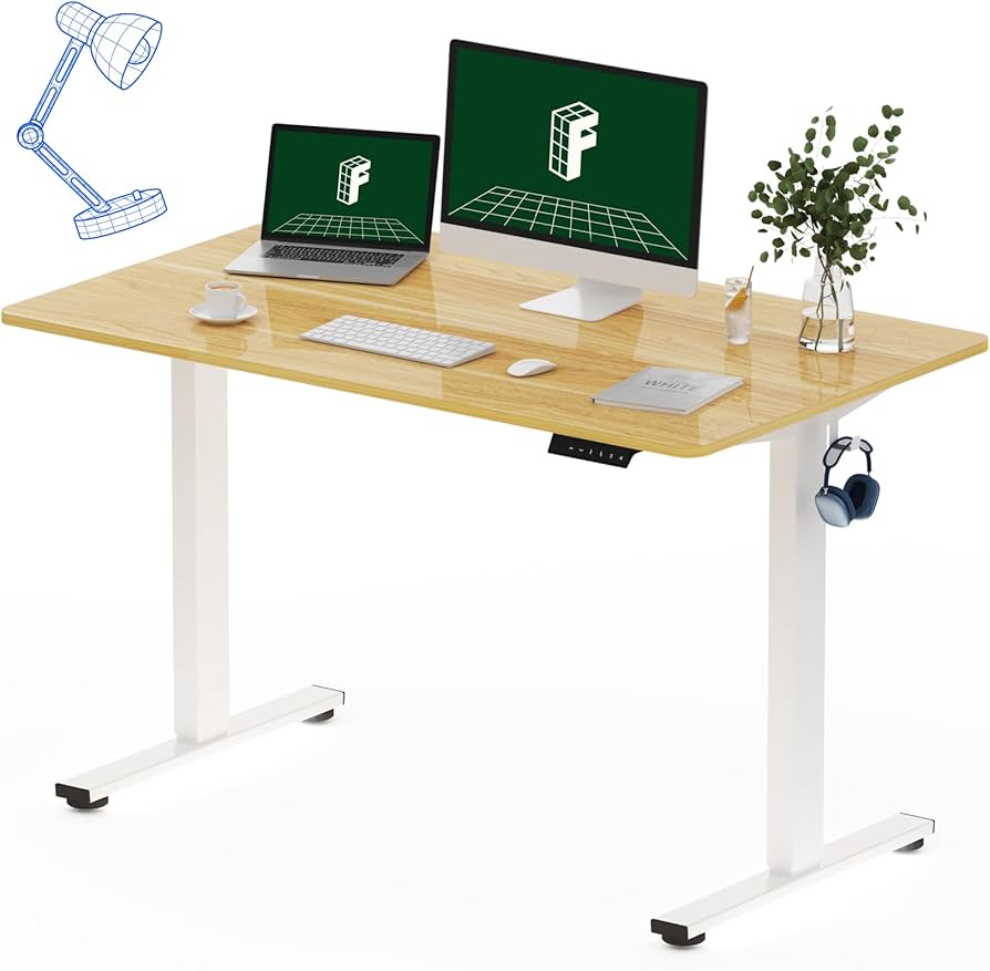 FlexiSpot EC5 Electric Standing Desk 48 x 30 Inch (2026 Model)