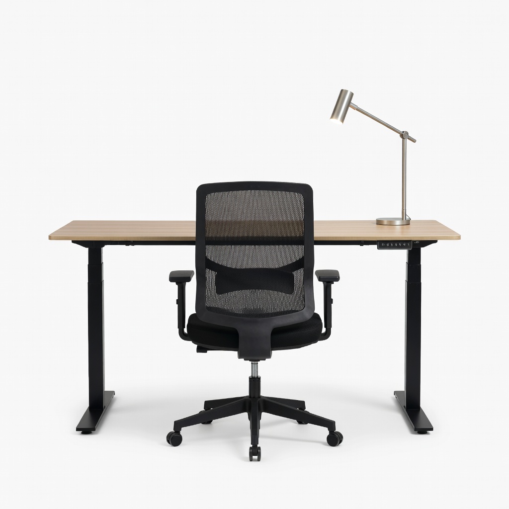 Flexispot EN1 48-Inch Electric Standing Desk + Hbada Ergonomic Mesh Office Chair + TaoTronics LED Desk Lamp