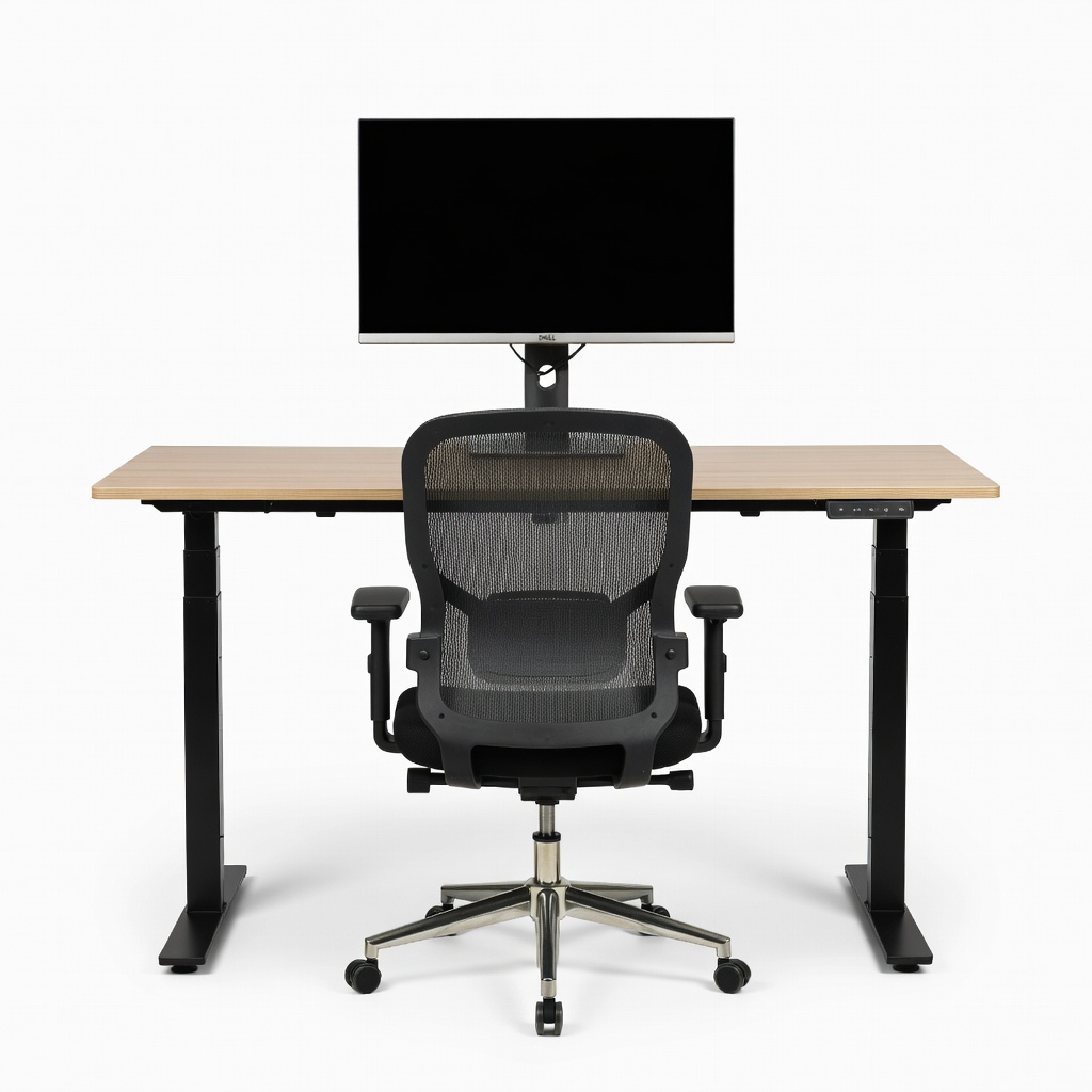 Flexispot EN1 48-inch Standing Desk + Hbada Ergonomic Office Chair + Dell S2721QS 27-inch 4K Monitor Setup