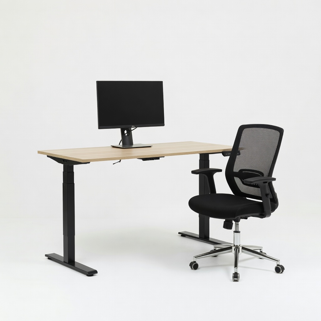 Flexispot EN1 48x30-Inch Single Motor Standing Desk + SIHOO M18 Ergonomic Mesh Office Chair + Dell S2421H 24-Inch IPS Monitor