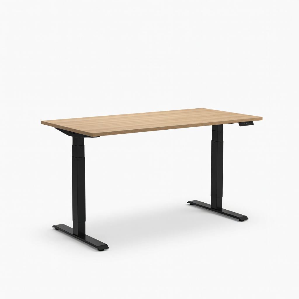 FlexiSpot EN1 55x24 Standing Desk
