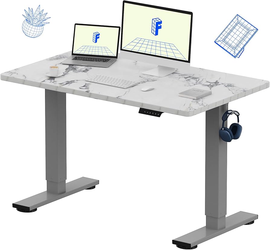 FlexiSpot EN1 Electric Standing Desk 48x30 + Sihoo M18 Ergonomic Chair + Dell S2422H 24-Inch Monitor
