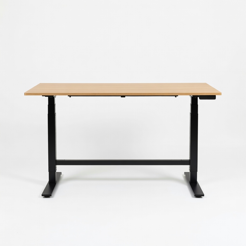 FlexiSpot EN1 Standing Desk 55 x 24 inch