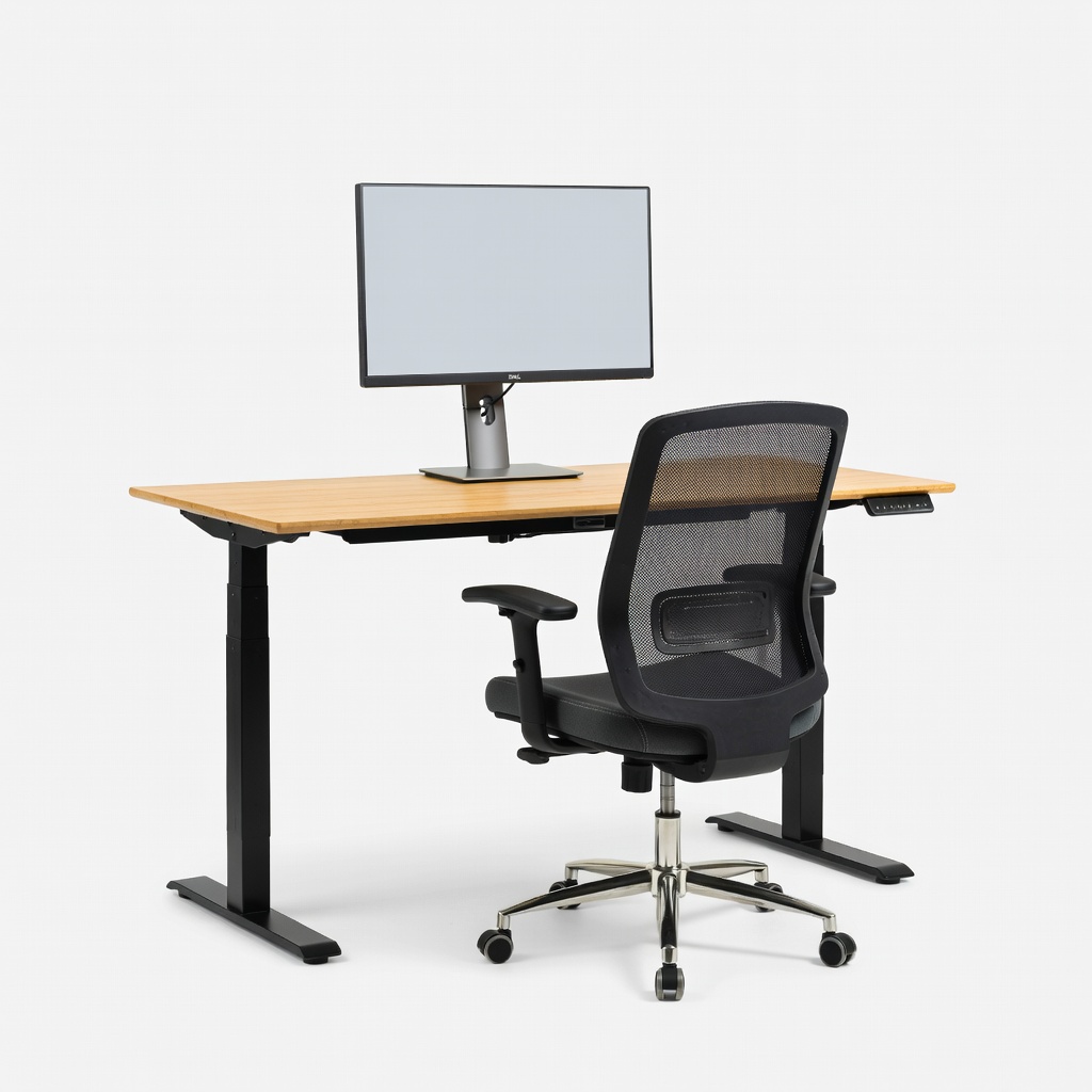 Flexispot EN1 Standing Desk + Hbada Ergonomic Chair + Dell S2721QS 27-inch 4K Monitor Setup