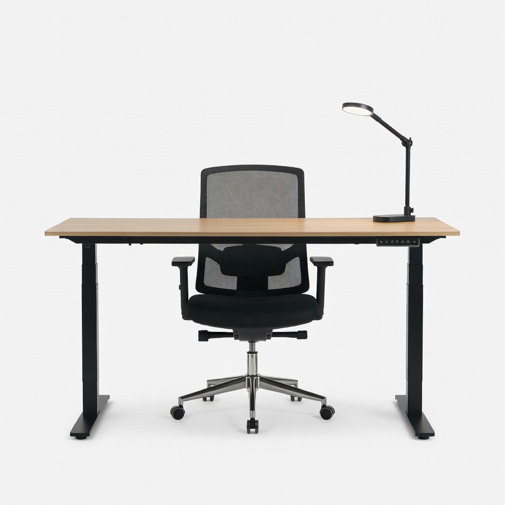 FlexiSpot OC3 55-Inch Electric Standing Desk + SIHOO M57 Ergonomic Chair + LED Desk Lamp