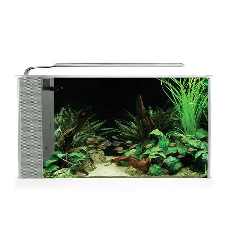 Fluval Spec Aquarium Kit, 5 Gallons