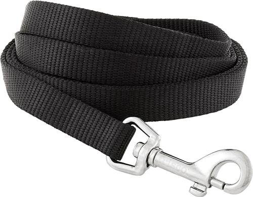 Frisco Nylon Dog Leash