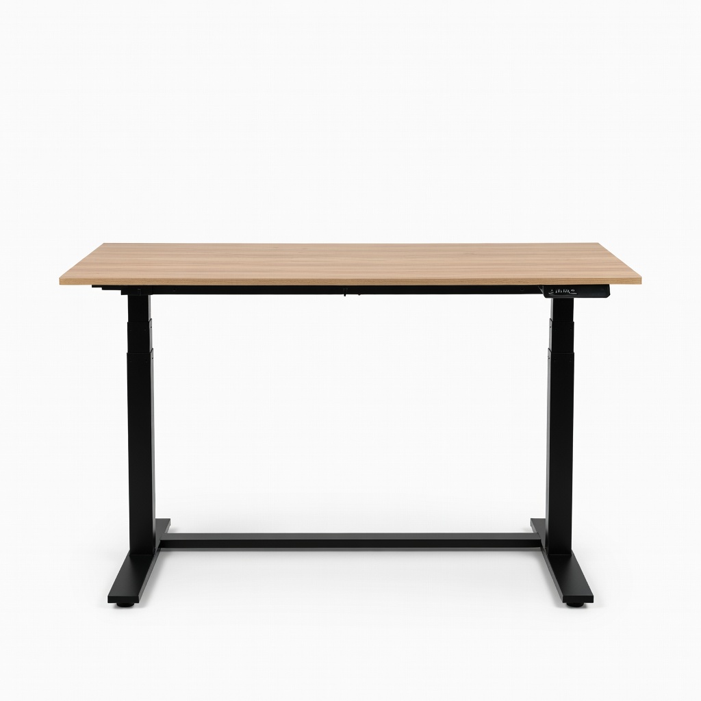 FURMAX Electric Height Adjustable Standing Desk