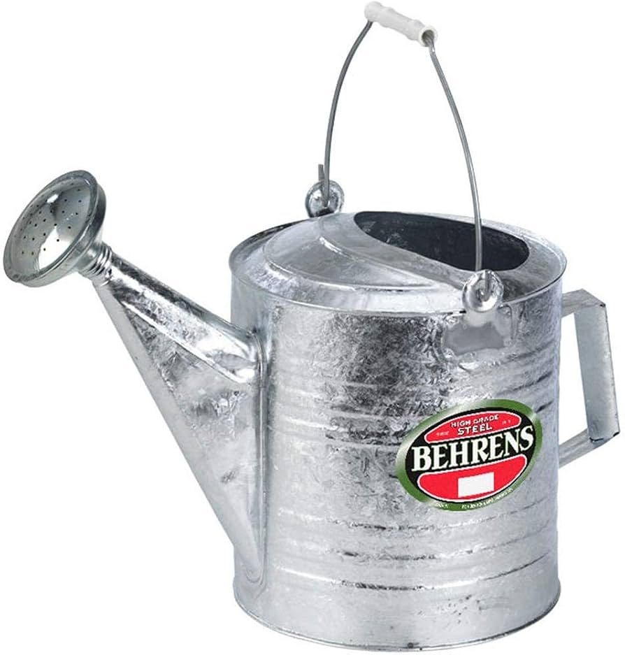 Galvanized Watering Can with Detachable Spout, 2-Gallon