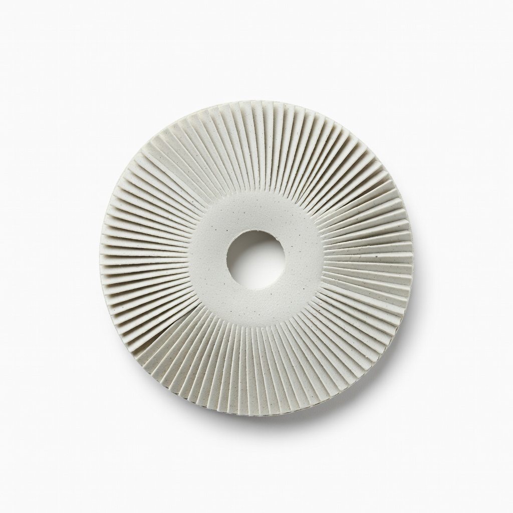 3M Scotch-Brite Radial Bristle Disc