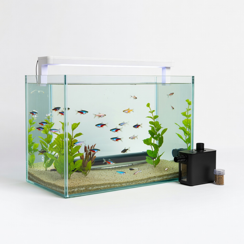 Aqueon 10 Gallon LED Aquarium Kit