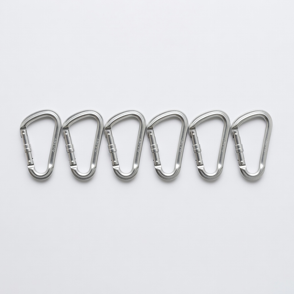 AULDEY Spring Snap Hook Carabiners (6 Pack)
