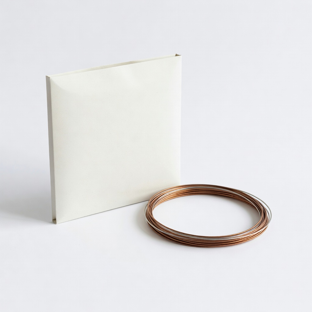 D'Addario EJ16 Phosphor Bronze Light 12-53