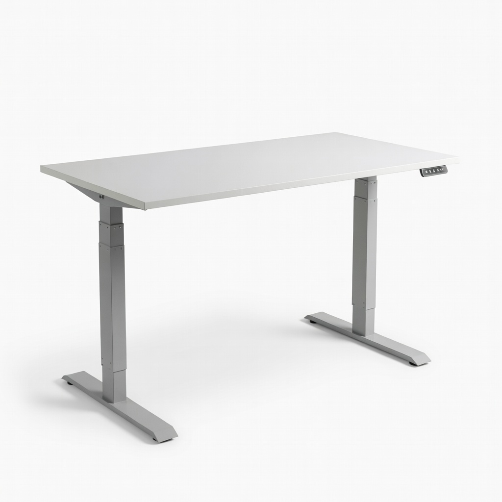 Eureka Ergonomic Standing Desk 60x30