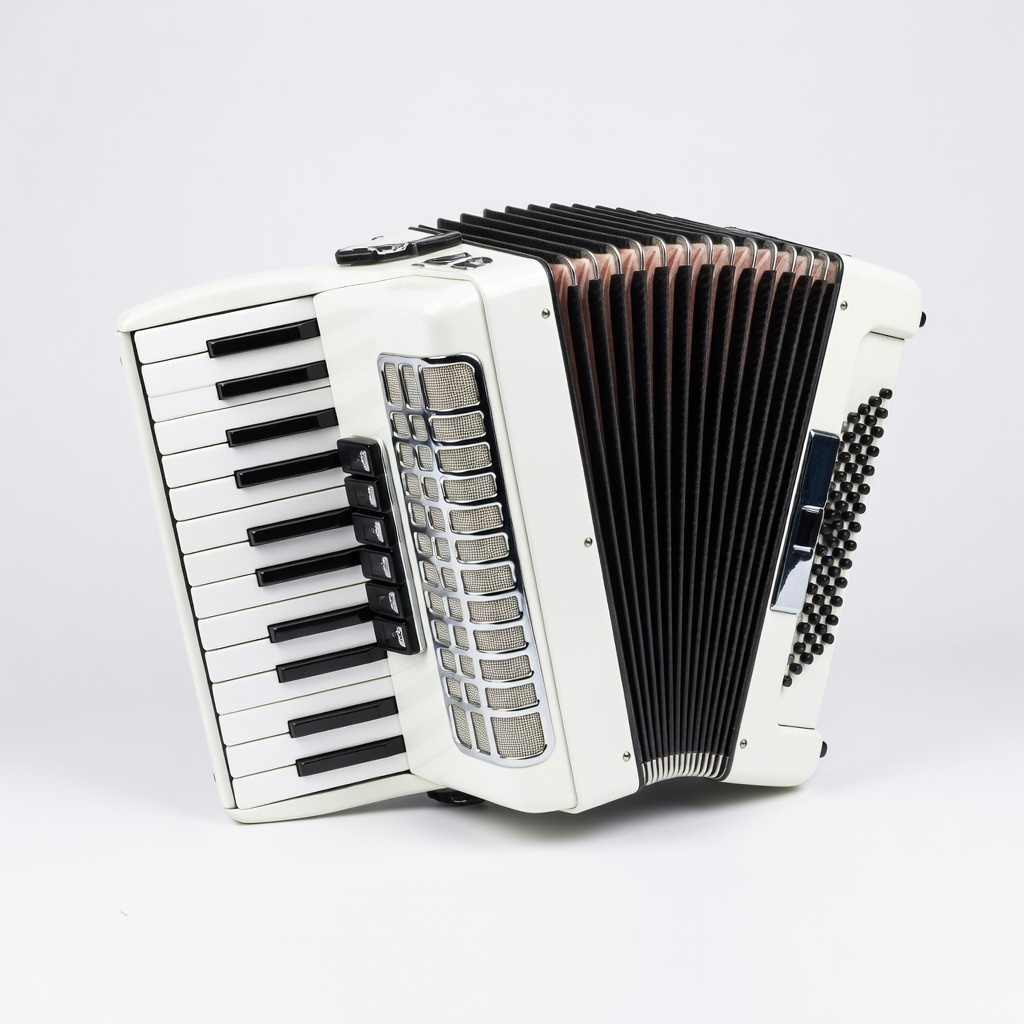 Hohner 120B Pandora Beginner Accordion