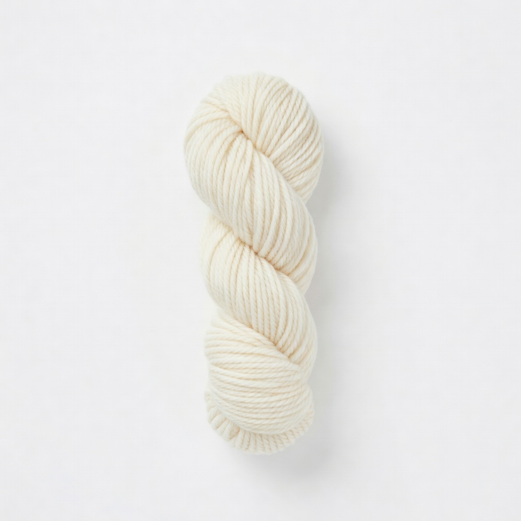 Lion Brand Yarn Vanna's Choice Yarn