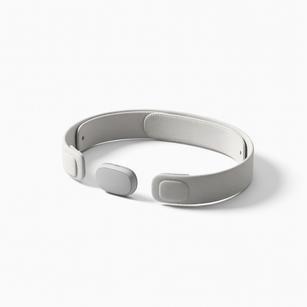 Polar H10 Heart Rate Monitor