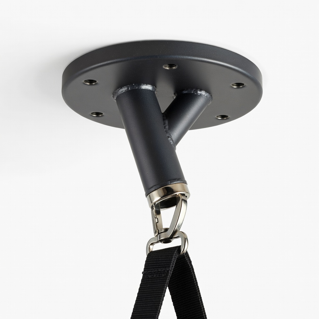 RDX Heavy Bag Ceiling Mount