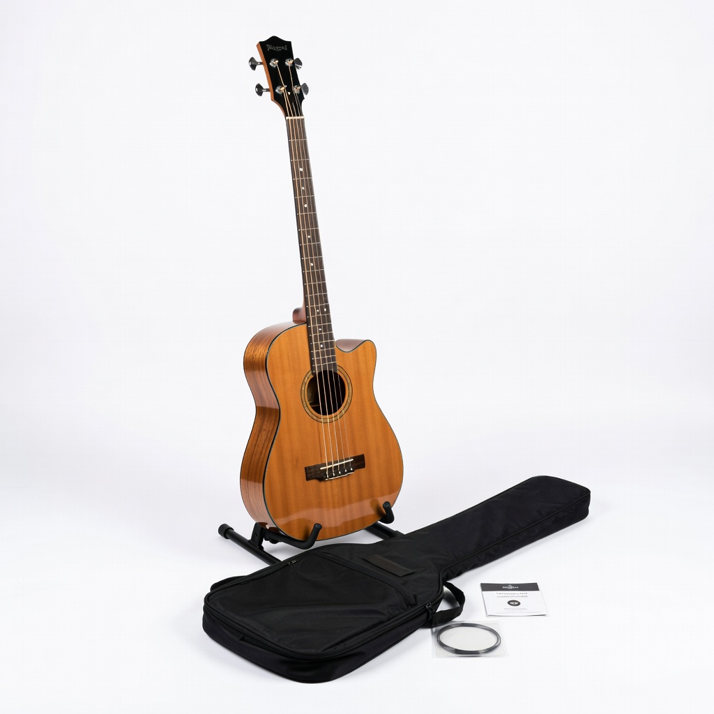 Rogue AAB-38 Acoustic Bass Package