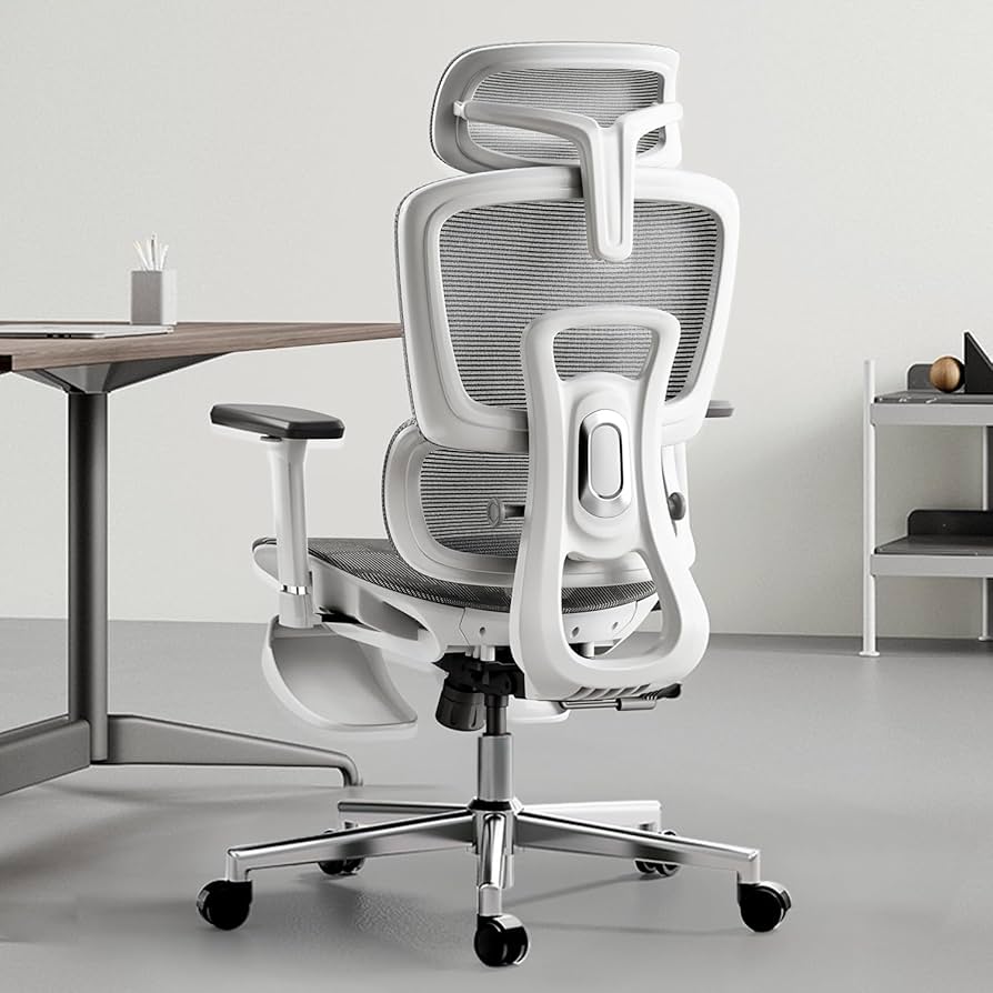 Hbada Office Chair Ergonomic Desk Chair (Model SW-918BN)