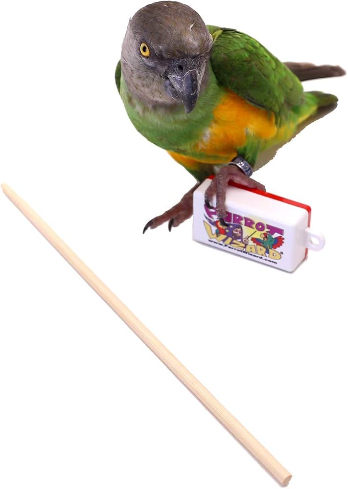 HiLetgo Bird Training Clicker (2 Pack)