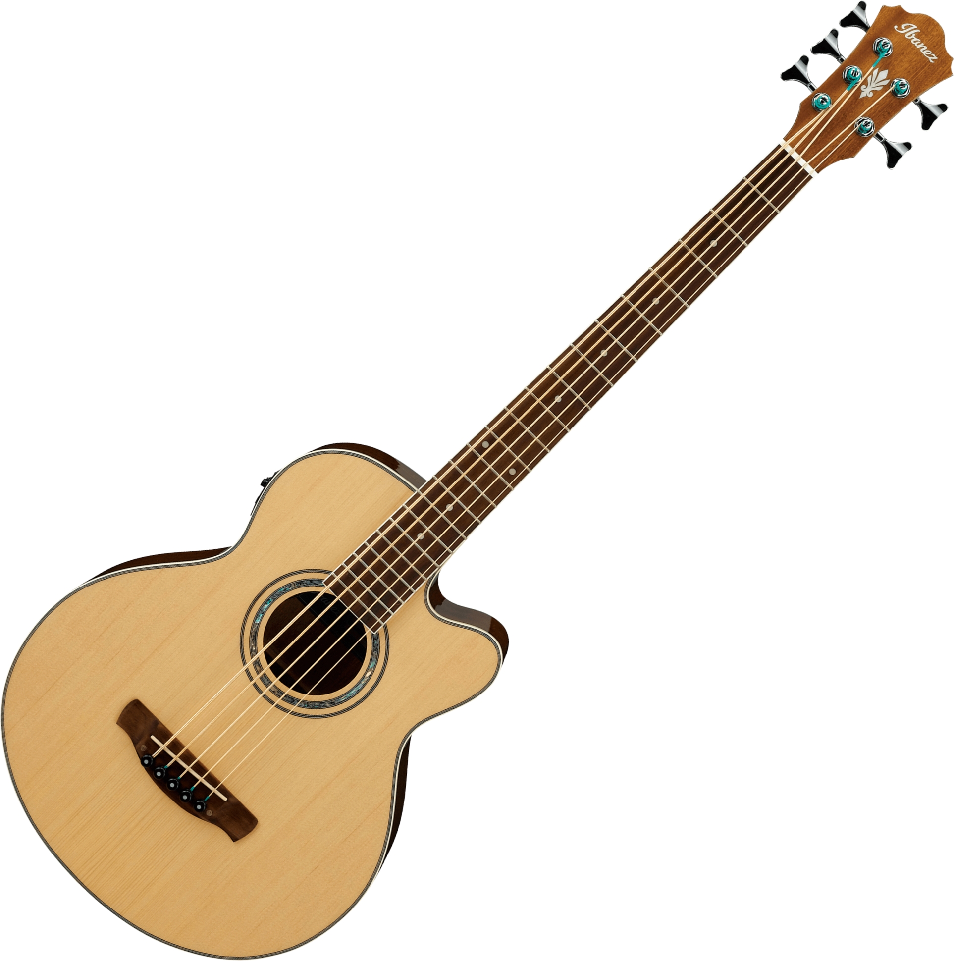Ibanez AEB105 Acoustic-Electric Bass