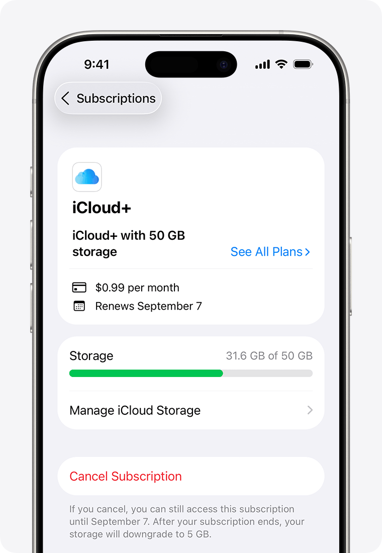 iCloud+ (50GB plan)