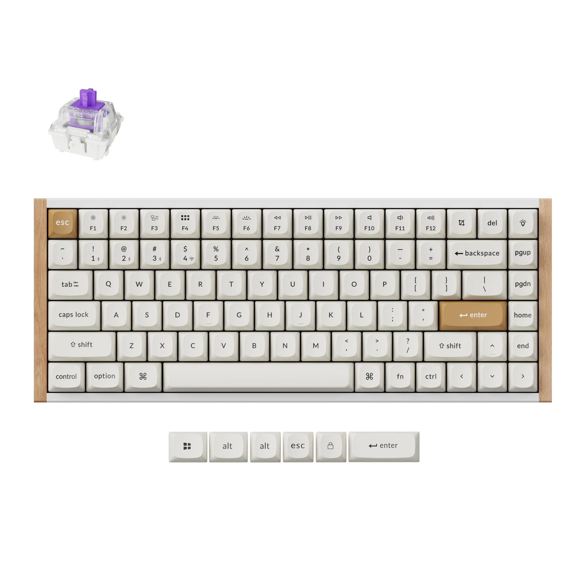 Keychron C1 Tenkeyless Wired Mechanical Keyboard Gateron Jupiter Brown