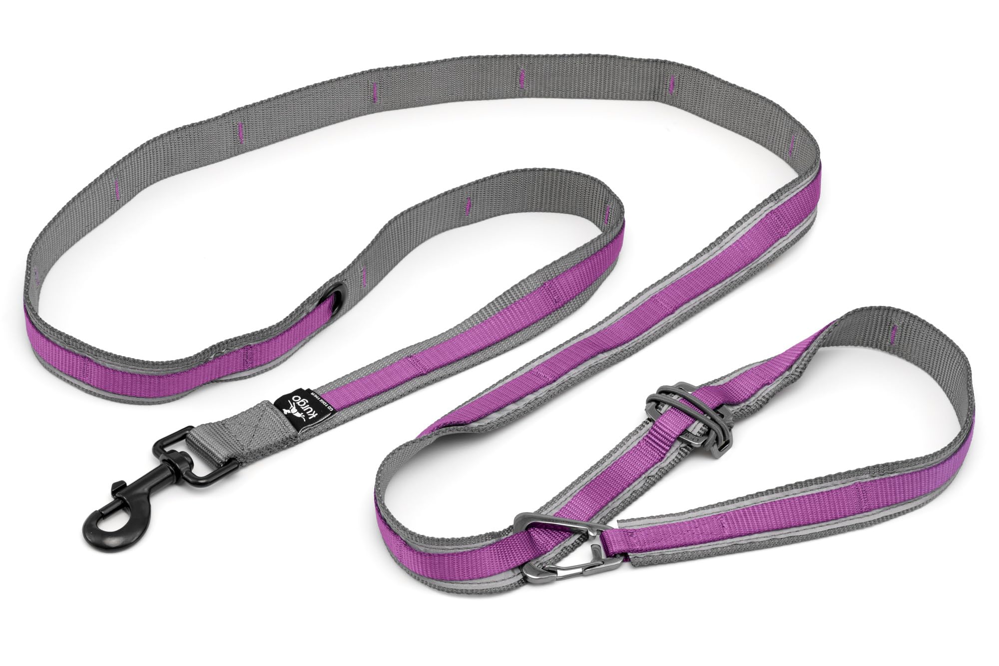 Kurgo Quantum Leash