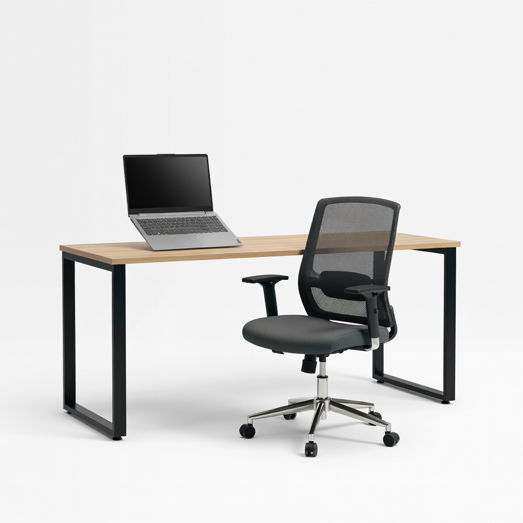 Lenovo IdeaPad Slim 3 15AMN8 Laptop + SHW 48-Inch Computer Desk + Neo Chair Office Chair Setup