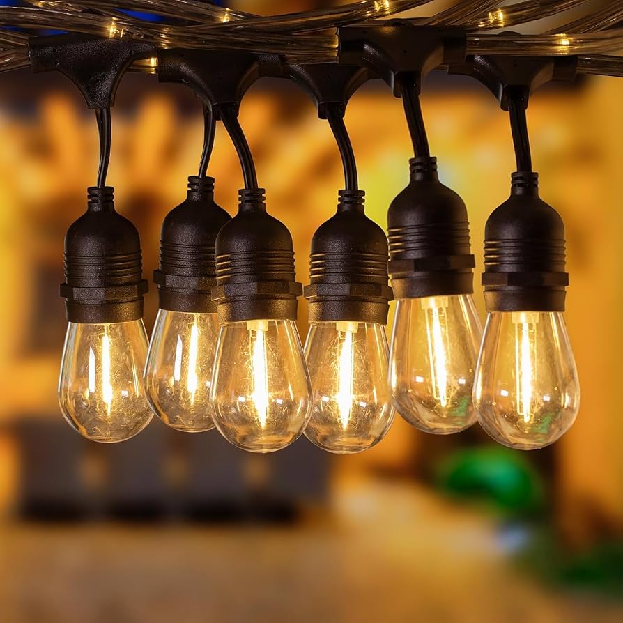 LeonLite 48ft LED String Lights