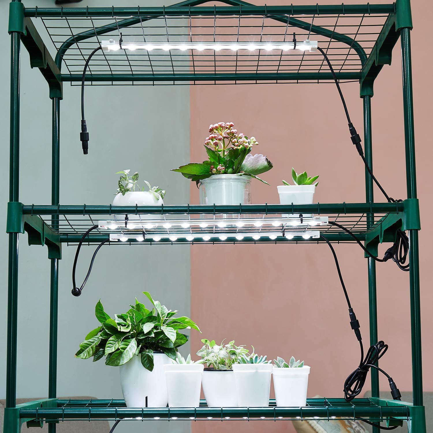 Litever 45W LED Grow Light Panel