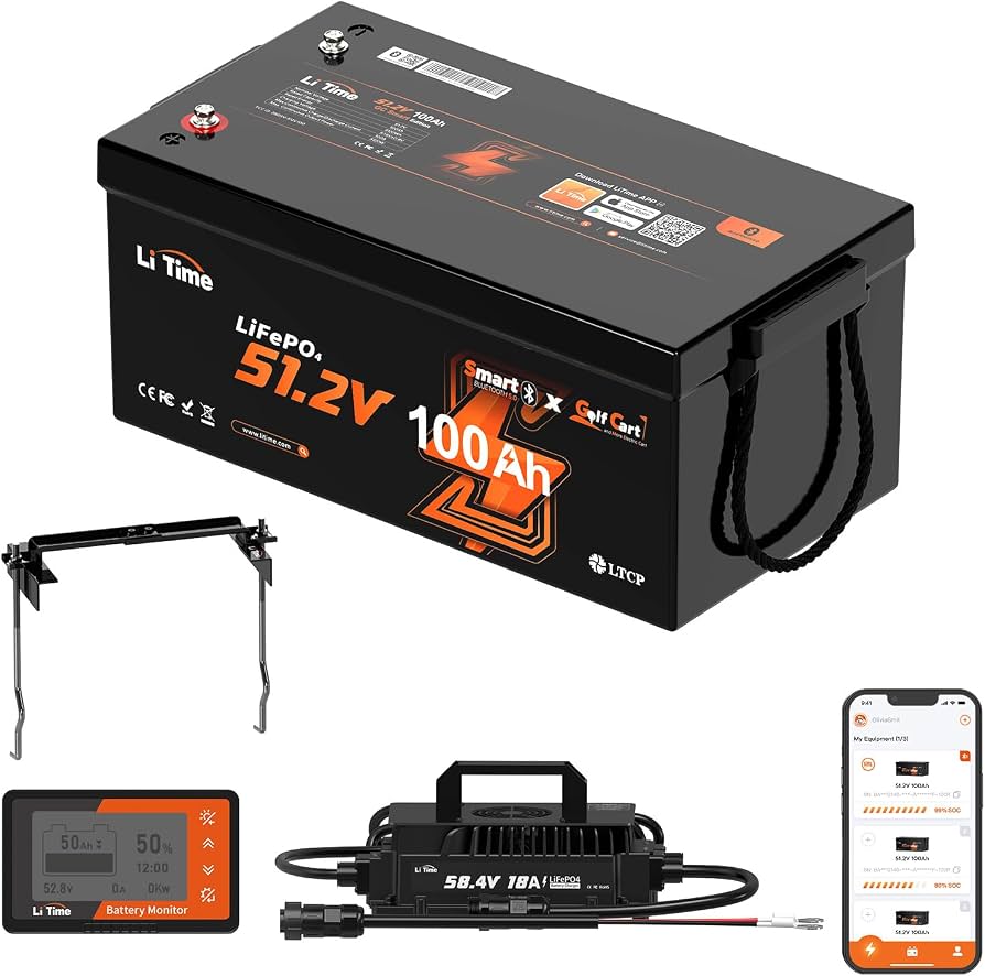 LiTime 48V 100Ah Golf Cart LiFePO4 Battery
