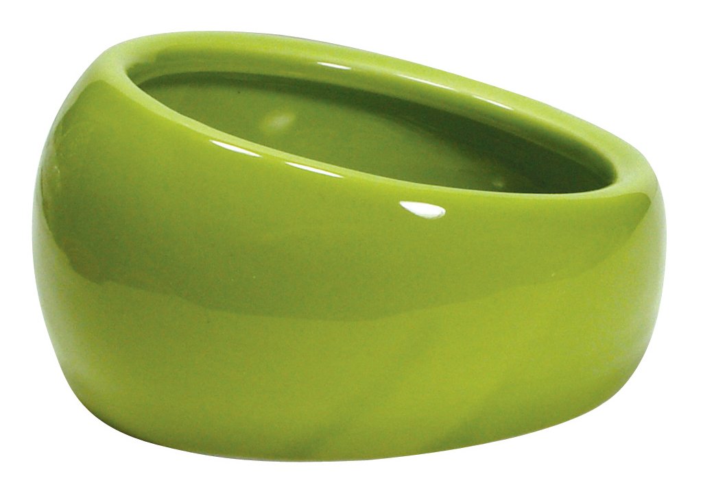 Living World Ceramic Food Dish