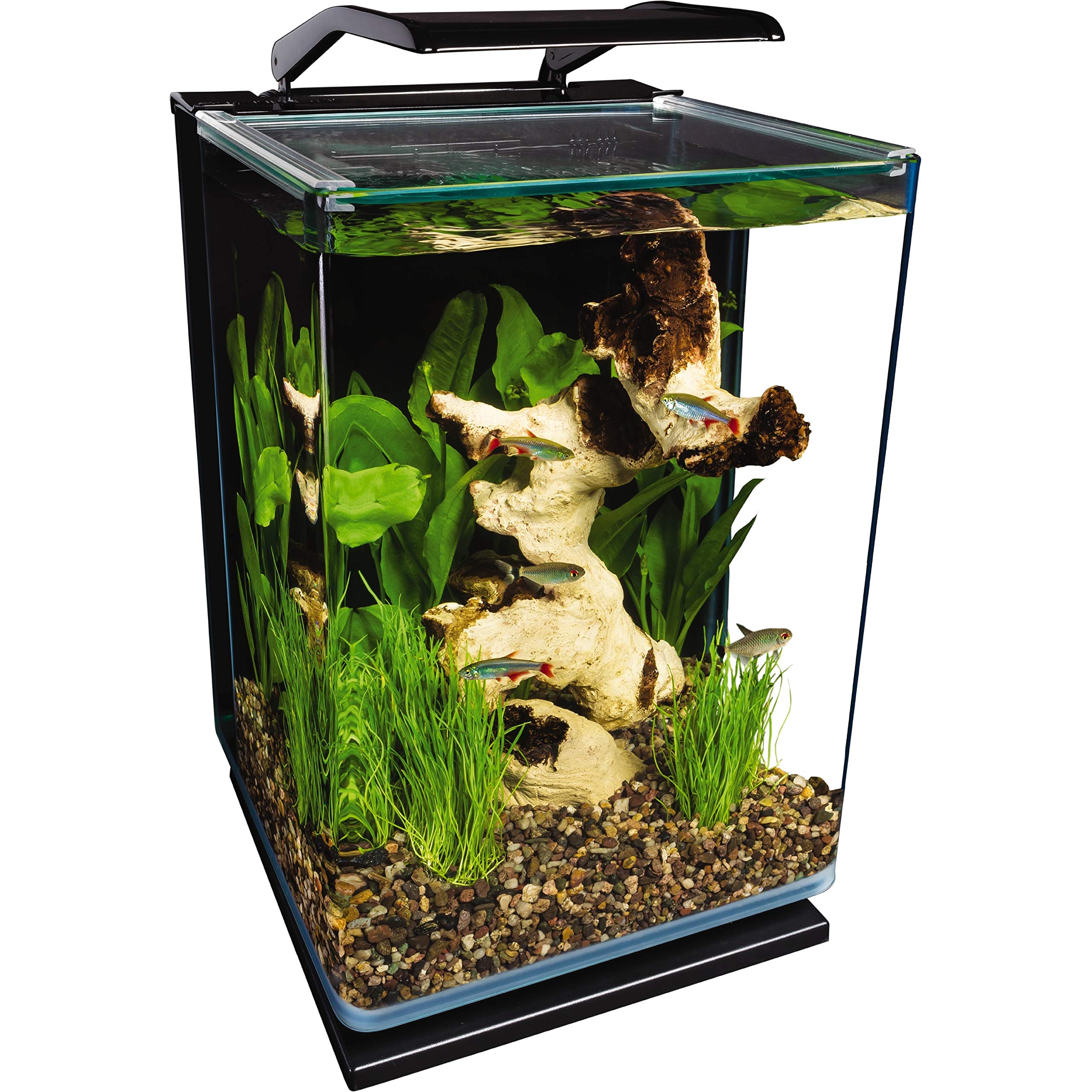 Marineland Portrait Glass LED Aquarium Kit (5 Gallon)
