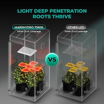 Mars Hydro TS 600 LED Grow Light