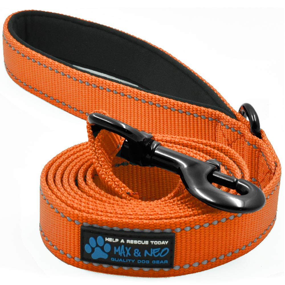 Max and Neo Double Handle Heavy Duty Dog Leash