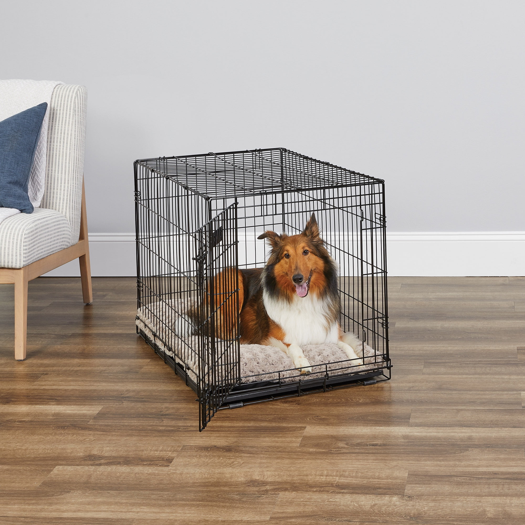MidWest Homes for Pets iCrate Single Door Collapsible Wire Dog Crate