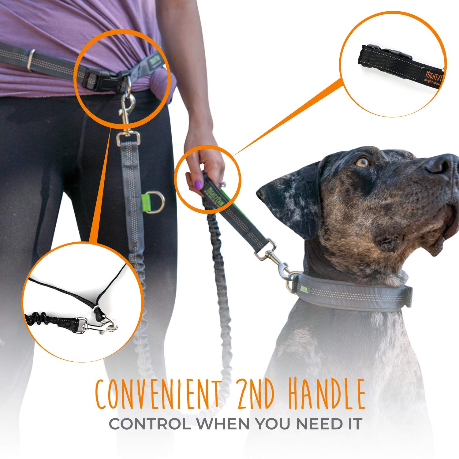 Mighty Paw Ultimate Hands-Free Dog Leash