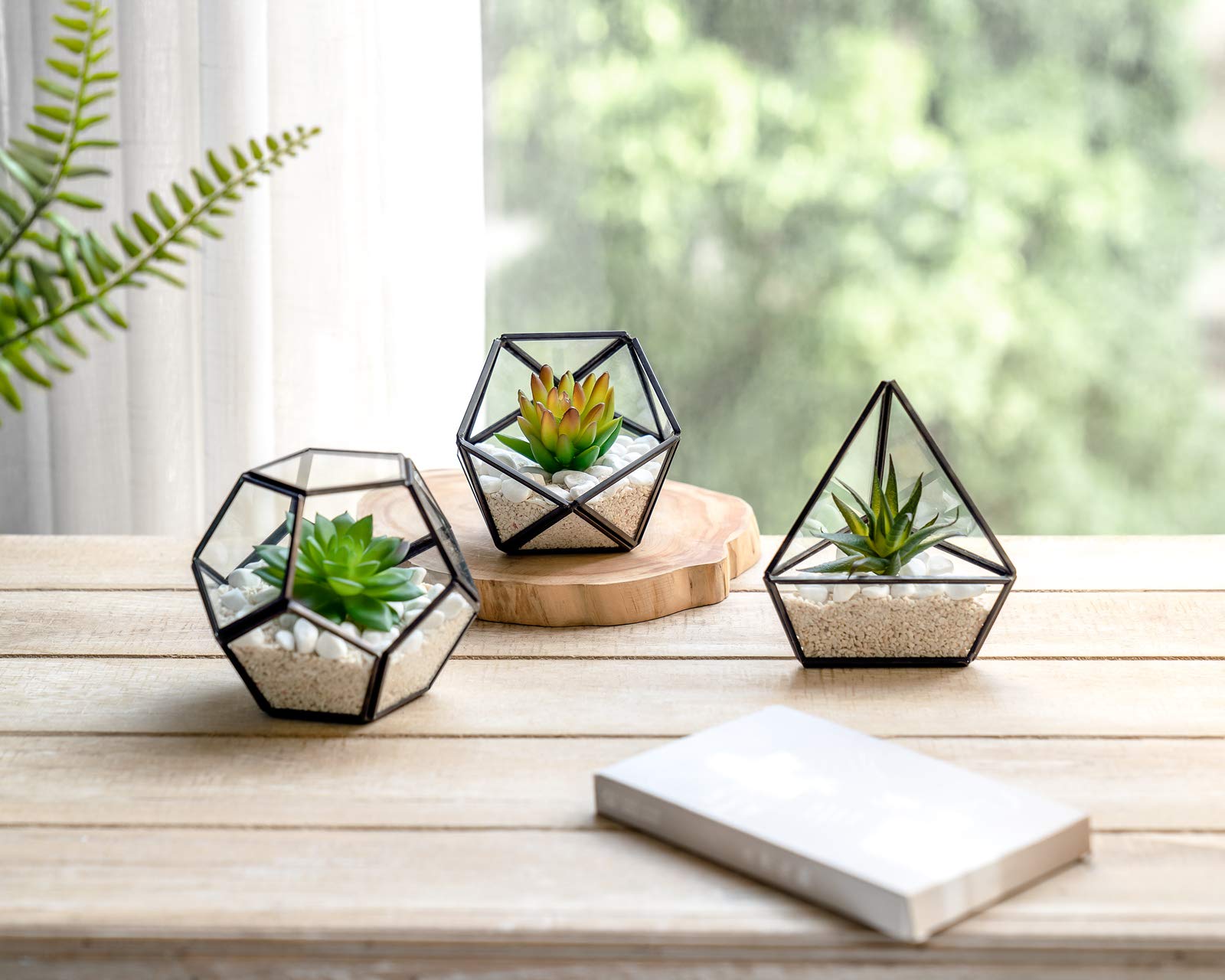 Mkono Glass Terrarium Kit for Succulents