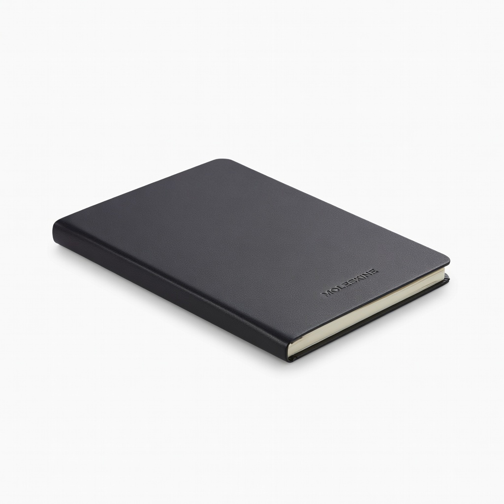 Moleskine 2025 Weekly Planner Large