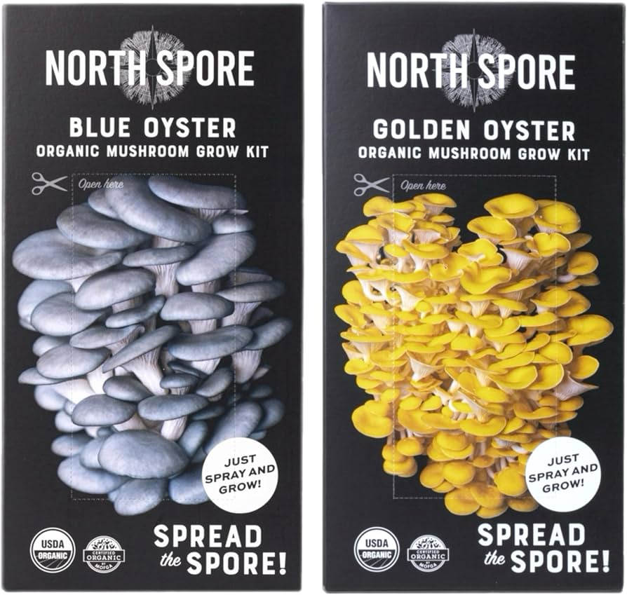 Mushroom Grow Kit - Oyster Mushroom 2-Pack